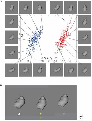 Making Expert Decisions Easier to Fathom: On the Explainability of <mark class="highlighted">Visual Object Recognition</mark> Expertise